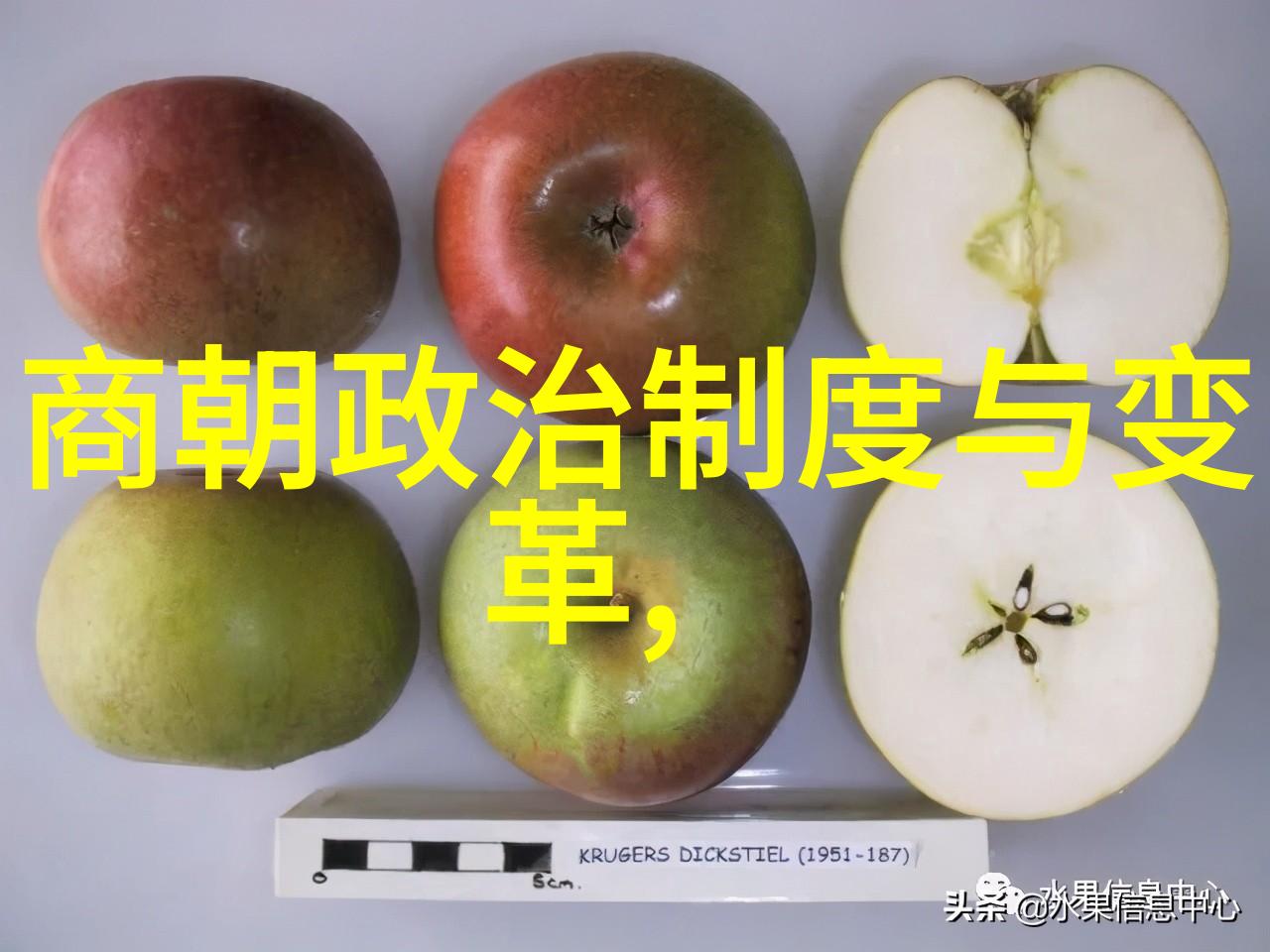 古今奇闻录揭秘历史间的趣事