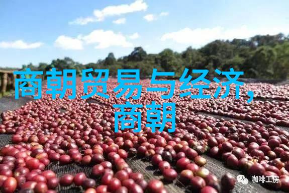 中华古韵中国经典历史故事的智慧与哲理