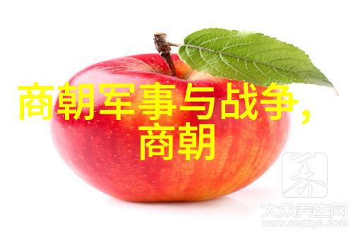 明朝那些事儿揭秘小说背后的历史真相