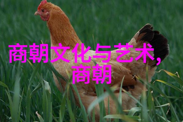 二年级简短神话故事我叫小明的小狐狸与太阳的秘密交换