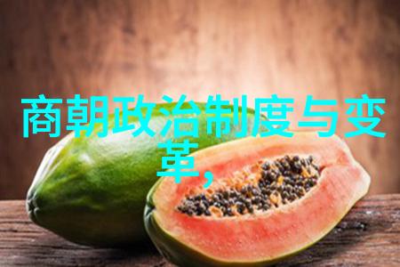 黄梅戏下载文化盛宴艺术真情流露