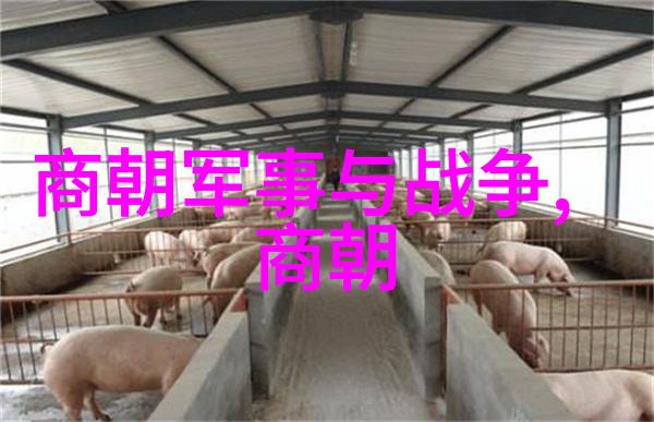 黄梅戏中的双星璀璨韩再芬与孟丽君如同天上的北斗和南斗相辅相成照亮了整个艺术界的夜空