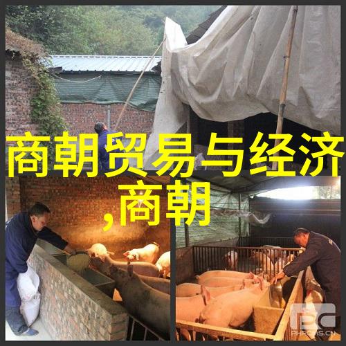 古今长河中国历史故事的传奇篇章