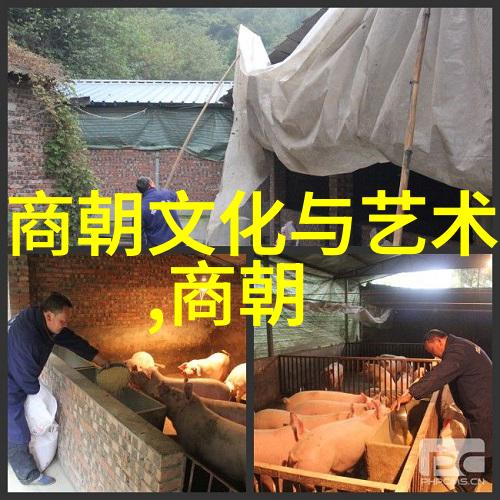 摘星2 林笛儿我和林笛儿的那场飘渺旅行