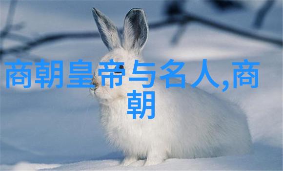 明朝国姓爷为什么姓郑从皇帝的幽默故事到历史上的无意之举