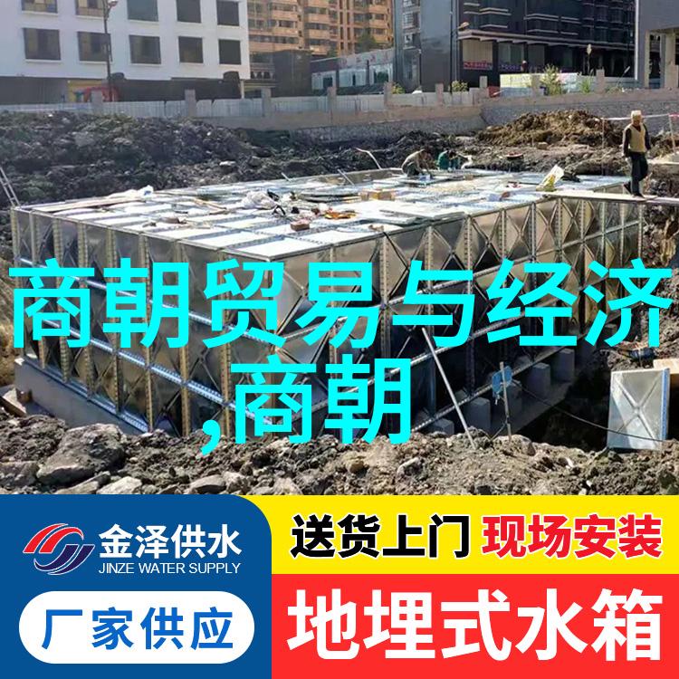 唐朝诗人杜甫的忧国之情与文学成就