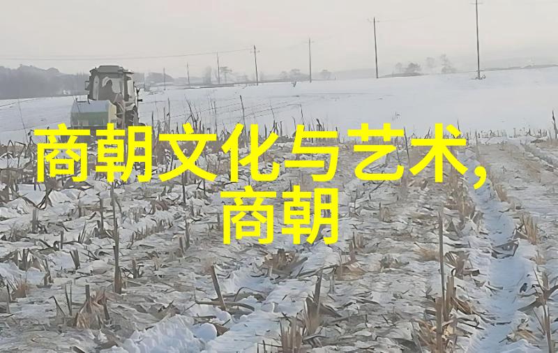辉煌的都城元朝文化的盛世