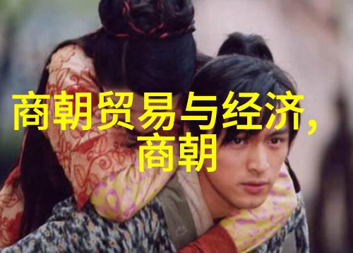 刘亦菲演的靖康电视剧叫-风华绝代靖康之变