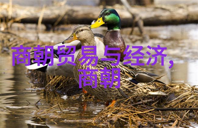 心灵的胎动留在我体内的梦想又开始变大
