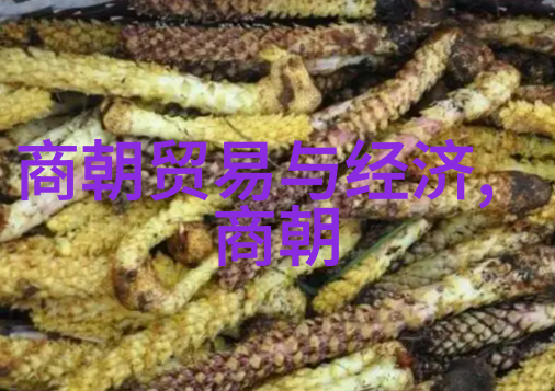 历史长河朝代逆袭记