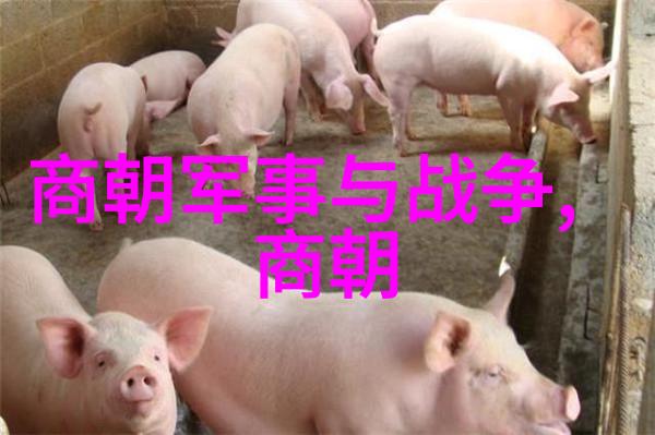 一进一出BGM试看我来点小资生活咖啡馆里的轻音乐故事