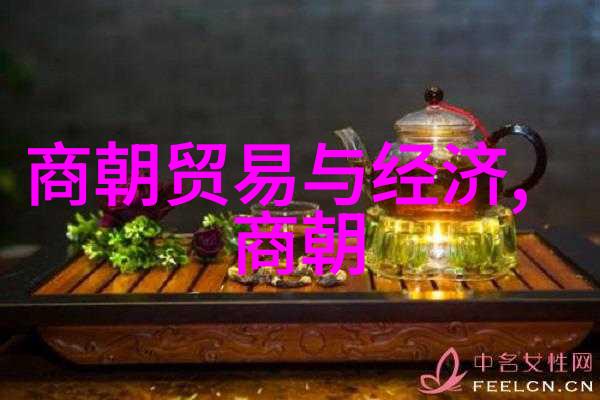 岁月沉浮明朝的光与暗