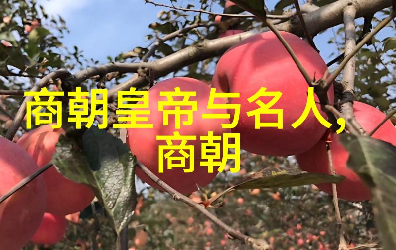 春秋战国皇帝与名人的权力斗争与智慧传承