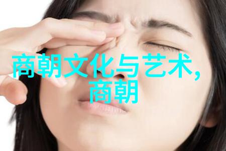 大明王朝映射问题揭秘历史与现实的交织