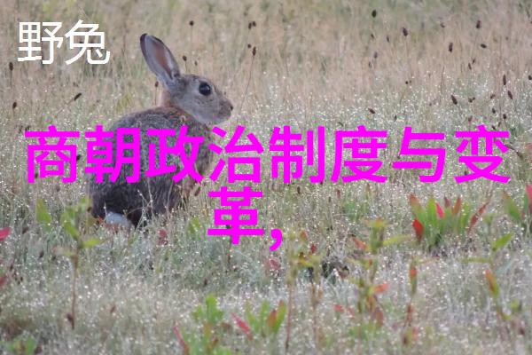 夏朝前三代夏启太康仲康