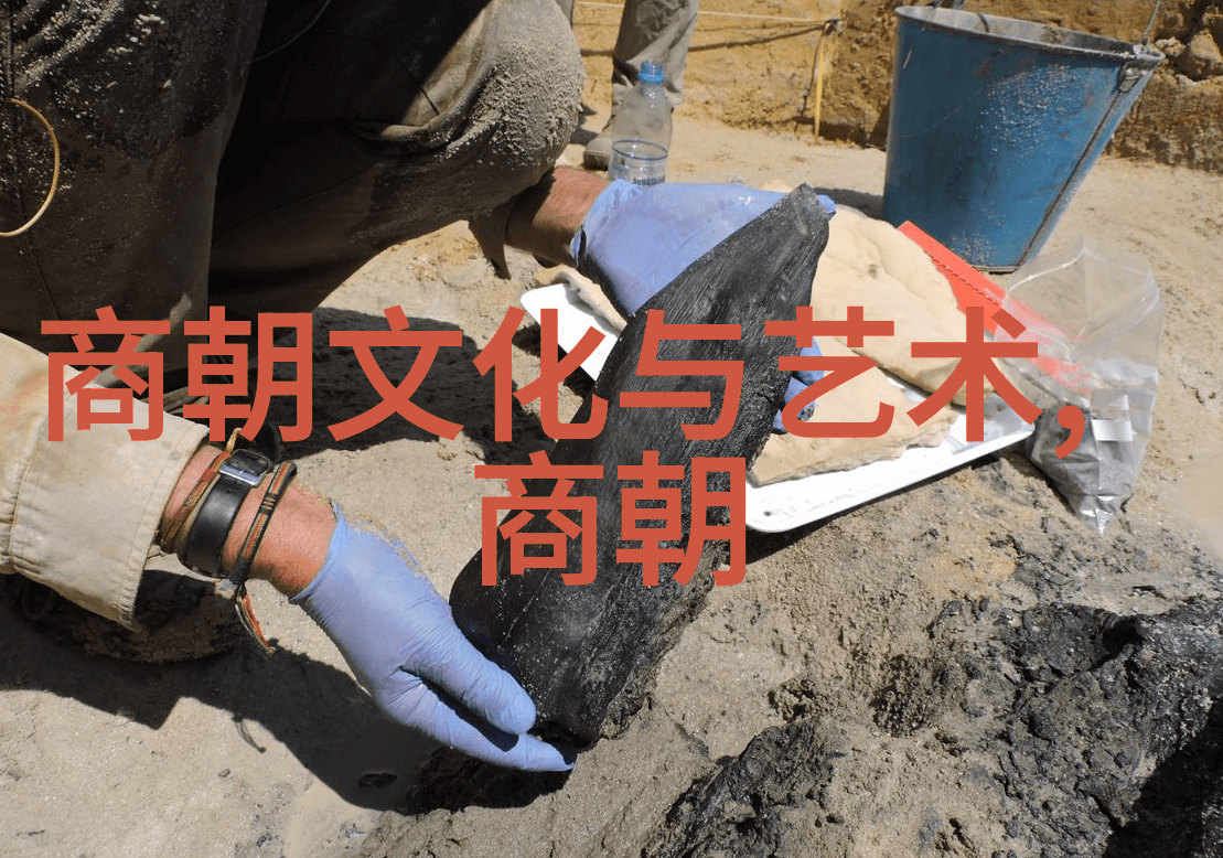 辽阔的草原与丝绸之路元朝版图范围的壮丽篇章