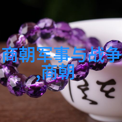 明朝风华从洪武到崇祯几代君臣的辉煌与挣扎