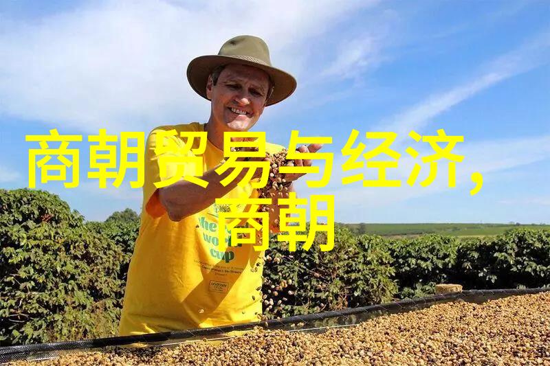 中国历史-探秘中国历代王朝从汉到清的帝王谱系