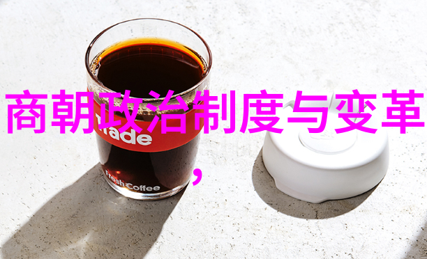 沉睡的都城元朝秘密与遗忘