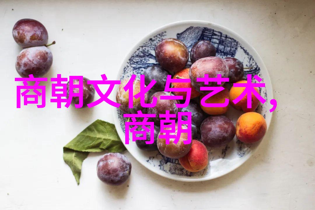 囚笼中的梦想者光绪帝对国家未来的深切思念