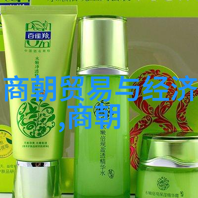从金兀术到忽必烈分化中亚诸国对中国的影响力