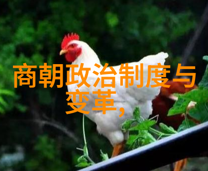 东晋时期的兴衰与存续问题探究