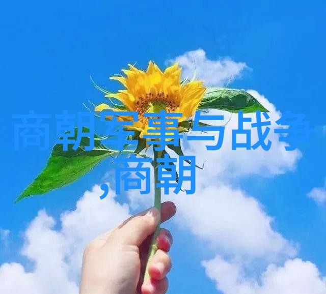 元代宗教政策与其对中国宗教界面的作用