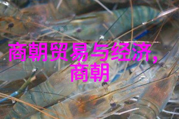 天京保卫战中的太极拳呼吸法之舞心意相通的战斗智慧