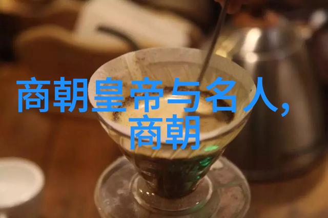 宋朝人物中的伯颜犹如星辰在历史长河中闪耀璀璨夺目