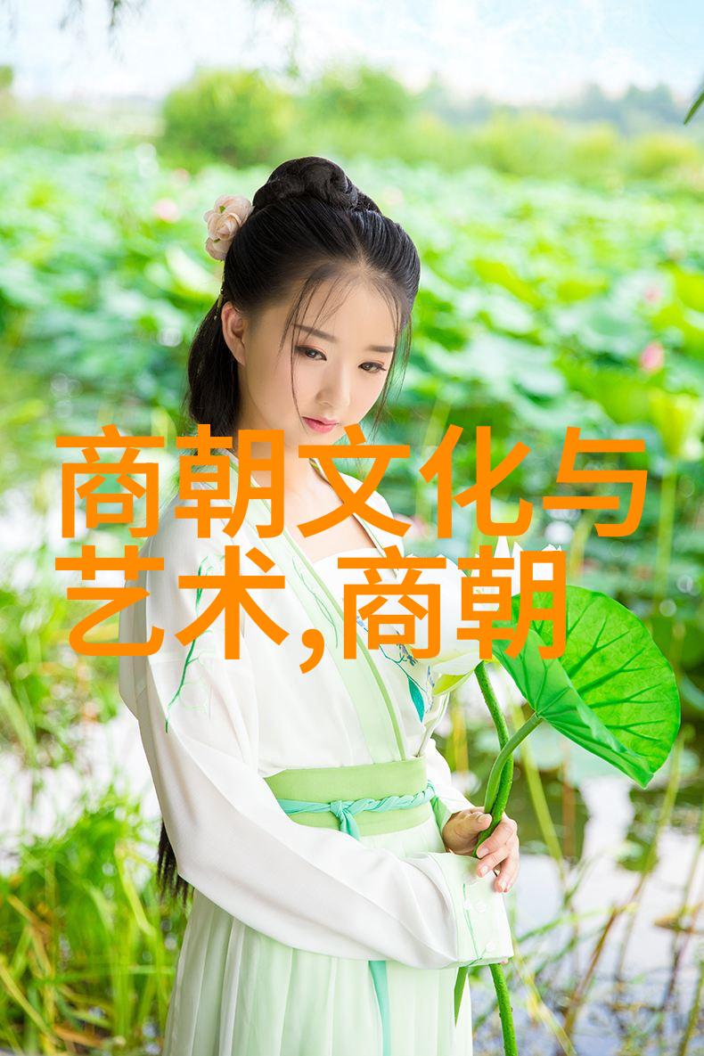 元代历史背景简介如何解读忽必烈征服中国的宏大策略