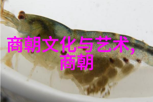 明朝奇谈录百年风云的精彩篇章