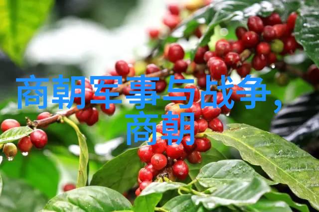 从黄帝到秦始皇中国古代的封建王朝