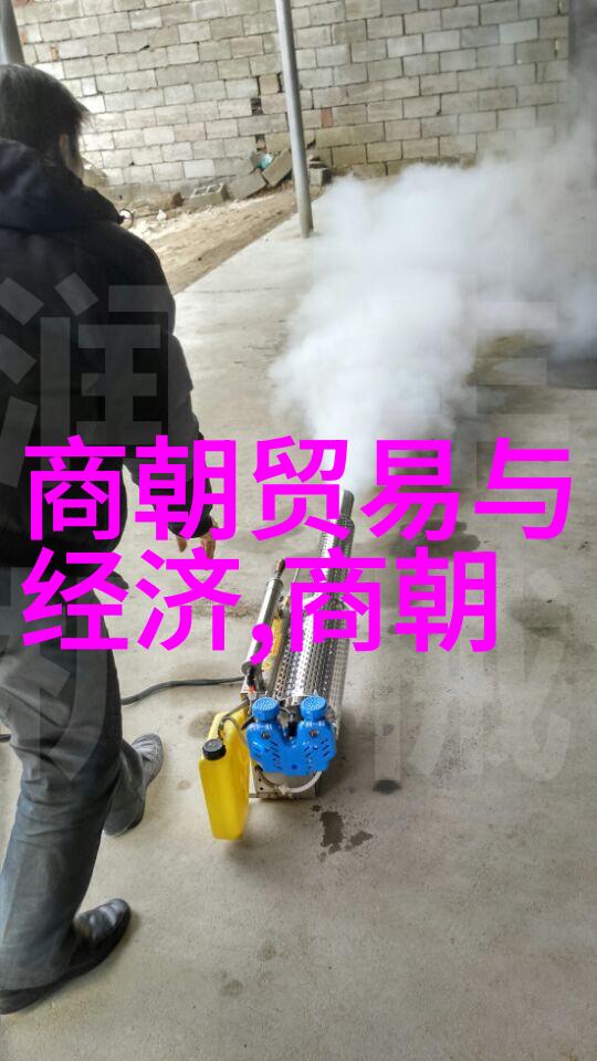郑和下西洋明朝文化繁荣的源泉