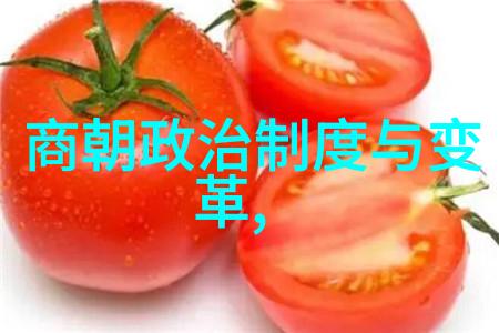 了解中国古代社会结构从明朝那些事儿