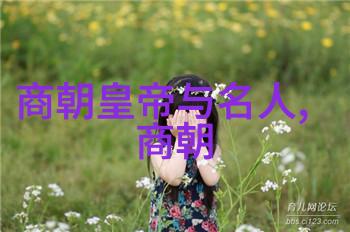探秘明朝风云揭秘历史奇案与英雄事迹