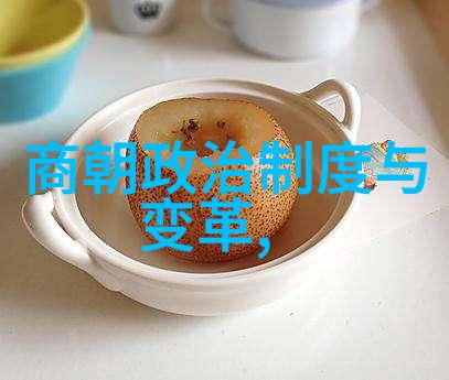 元朝历史画卷华丽的丝绸之路与沉默的大地