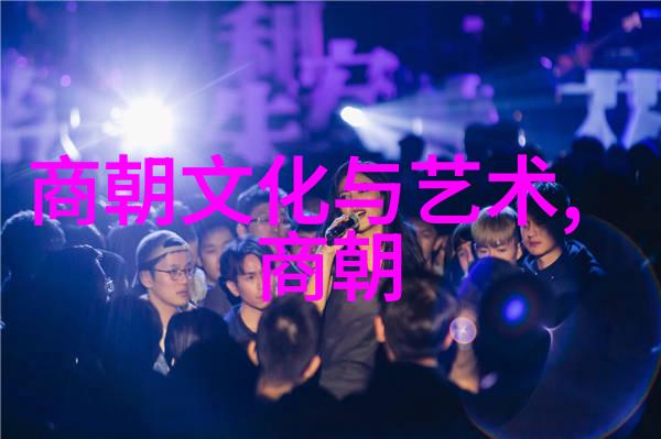 元朝辉煌征服与融合的中国篇章