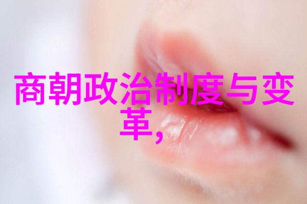 明朝历史讲解视频揭秘龙兴云覆的盛世