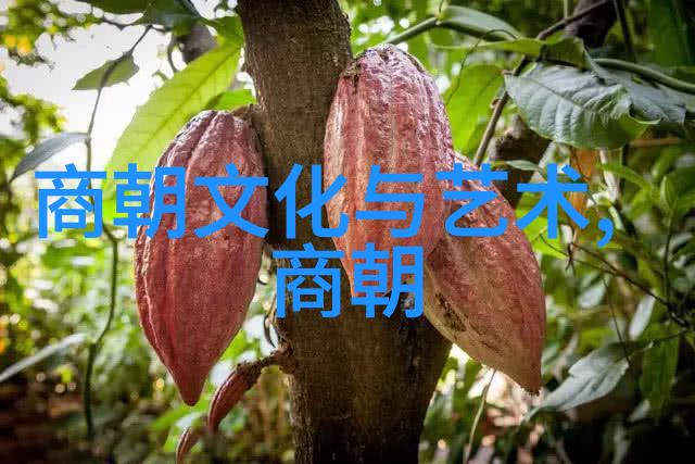 明朝气质古怪的王朝族谱中的戏剧故事