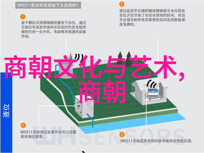 秦帝国的铁腕统治与千年辉煌