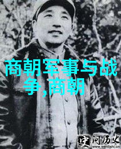 元朝有多大我也纳闷从历史地图上探索元朝的辽阔疆域