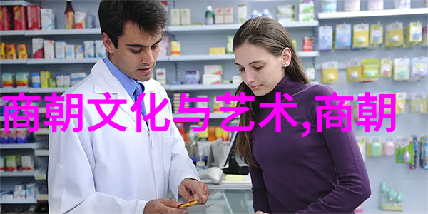 元代的兴起与繁荣从忽必烈到顺帝的历史篇章