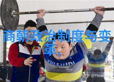 大定至正之治期间元朝是否已经开始走向衰败之路