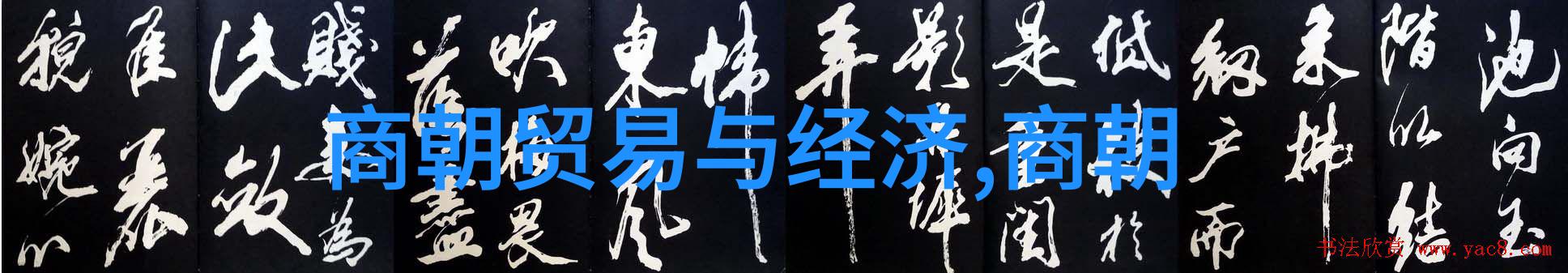 金国皇后尴尬孟珙的笑话大师