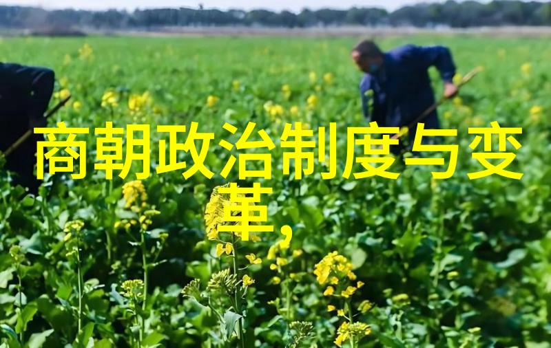 明朝覆灭之谜永历帝的孤帆远影与清军的铁蹄践踏