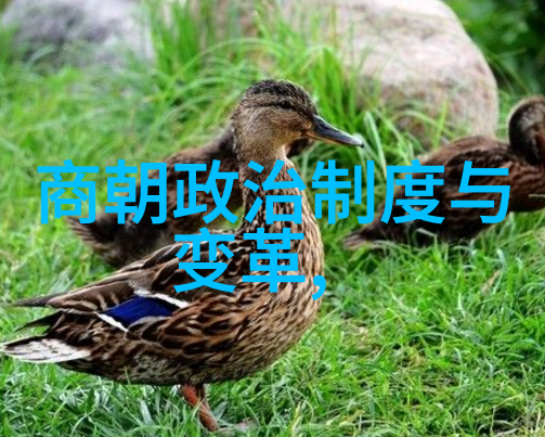 乾隆之谜权力巅峰的独尊与无争