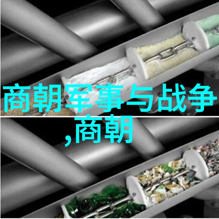 龙椅下的阴影明朝那些不可告人的恐怖故事