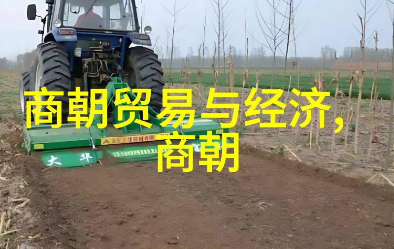 时空交错如果某个消逝的朝代还能复兴我们会如何选择
