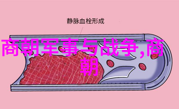 中国历史上十大天才文人陈友定智慧如星辰笔下生辉1368