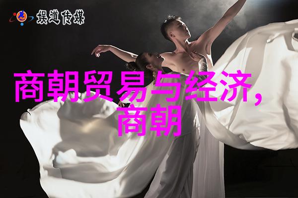 中华文明之光辉篇章中国历史上的重要朝代